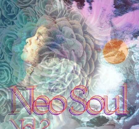Drumdrops Neo Soul Vol.2 WAV
